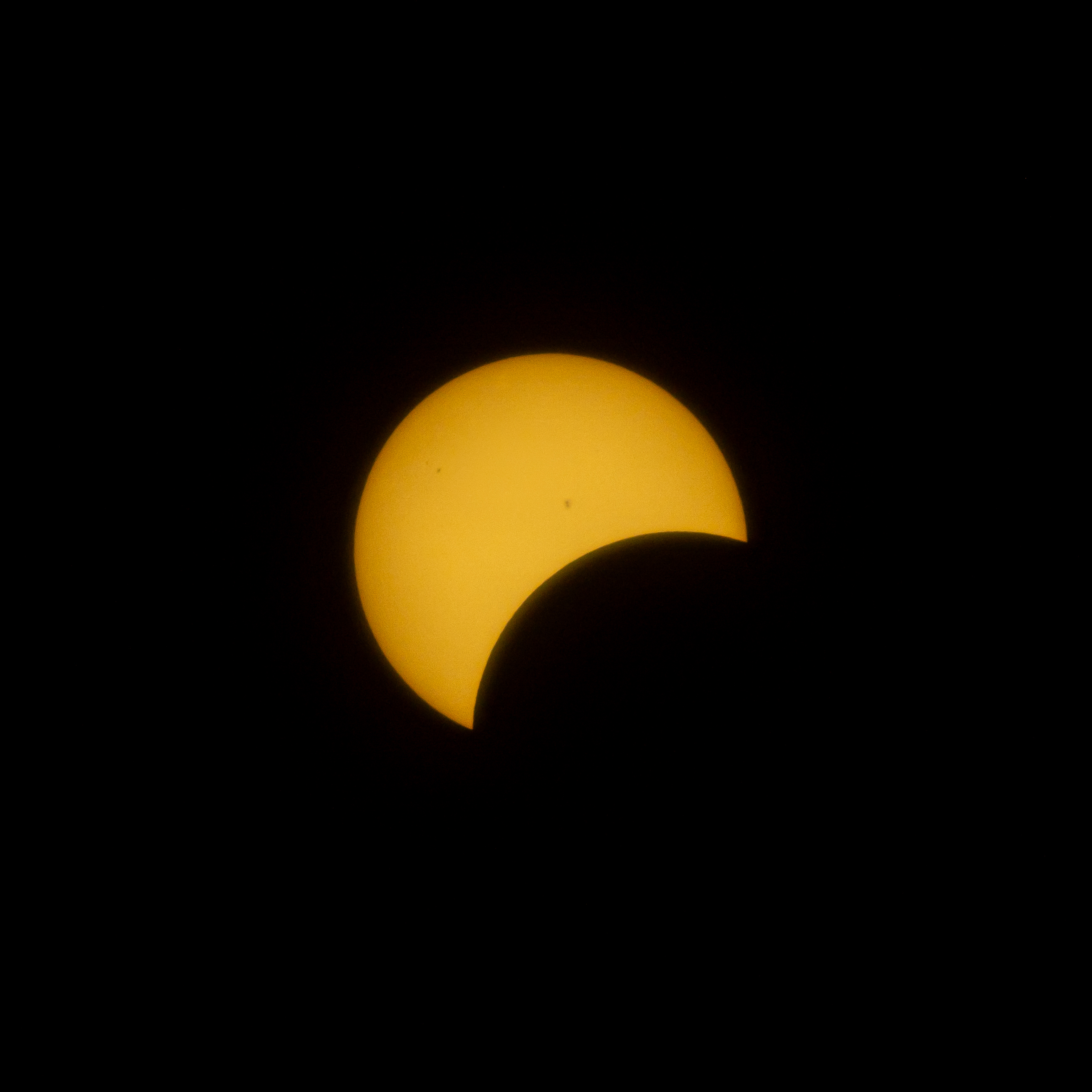Golden solar crescent against a black sky.
